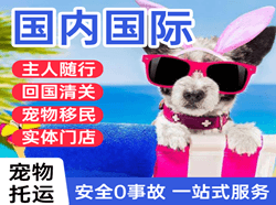 榆林榆阳机场空运国际宠物托运 【国